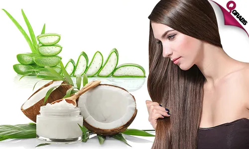Organic Hair Treatments: Aloe Vera OR Coconut!
